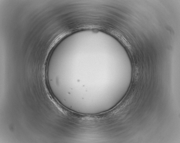 X0000115830898200912041645