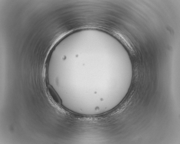 X0000115830900200912041645