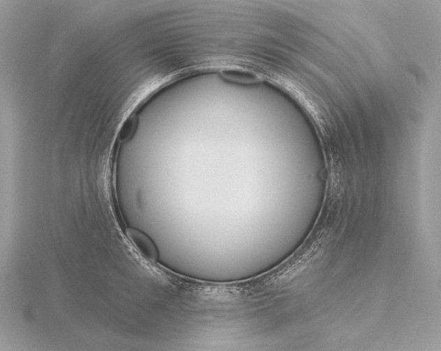 X0000115830901200912041645