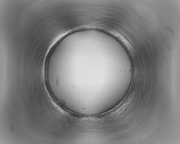 X0000115830902200912041645