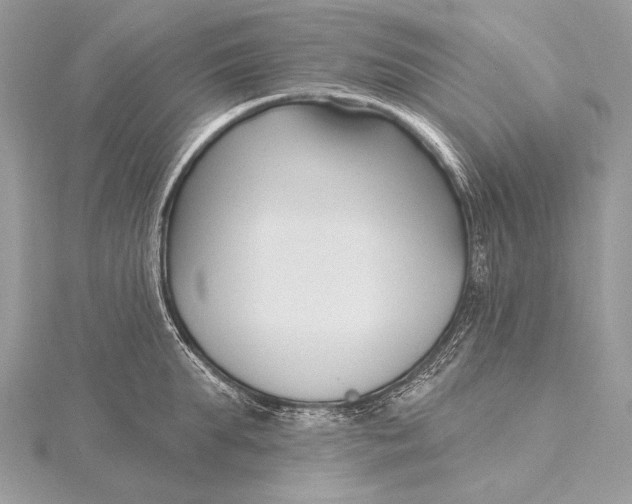 X0000115830903200912041645