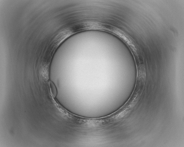 X0000115830905200912041645