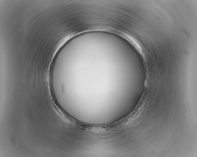 X0000115830907200912041645