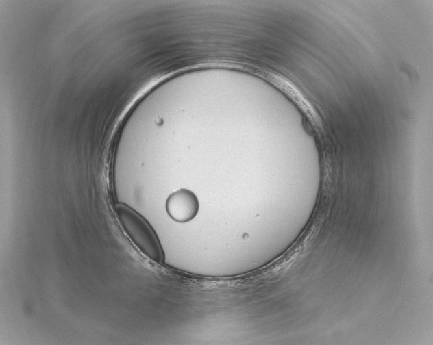 X0000115830908200912041645