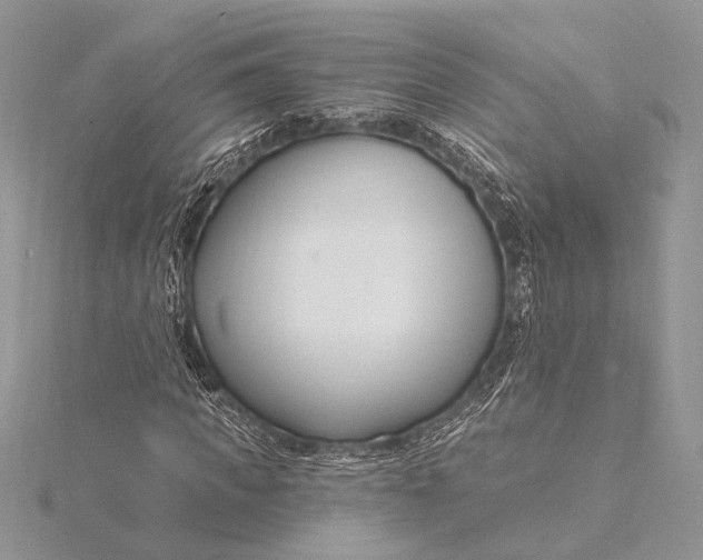 X0000115830917200912041645