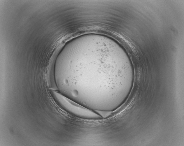 X0000115830921200912041645