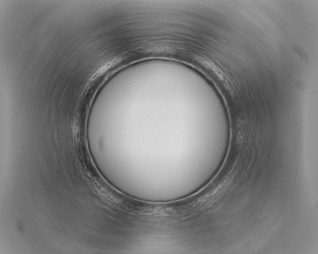 X0000115830922200912041645