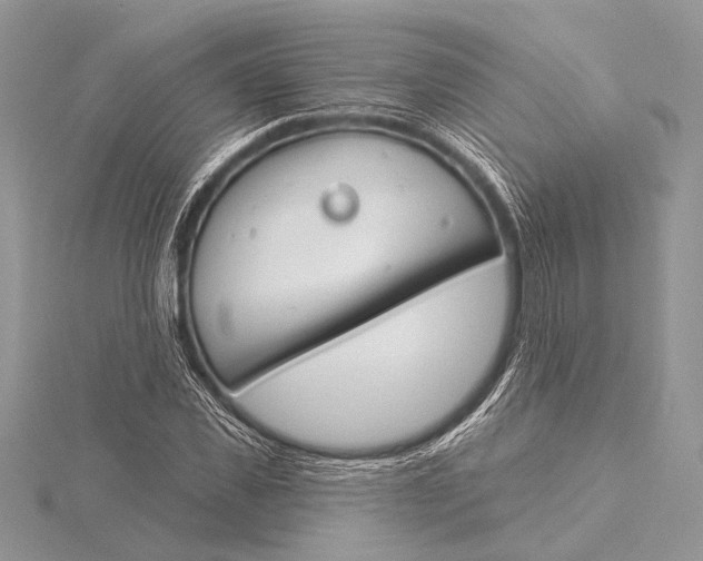 X0000115830925200912041645