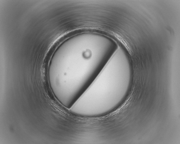 X0000115830926200912041645