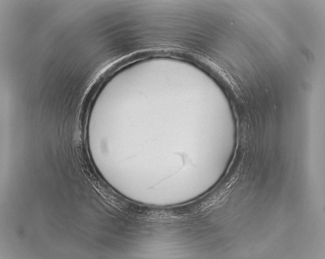 X0000115830927200912041645