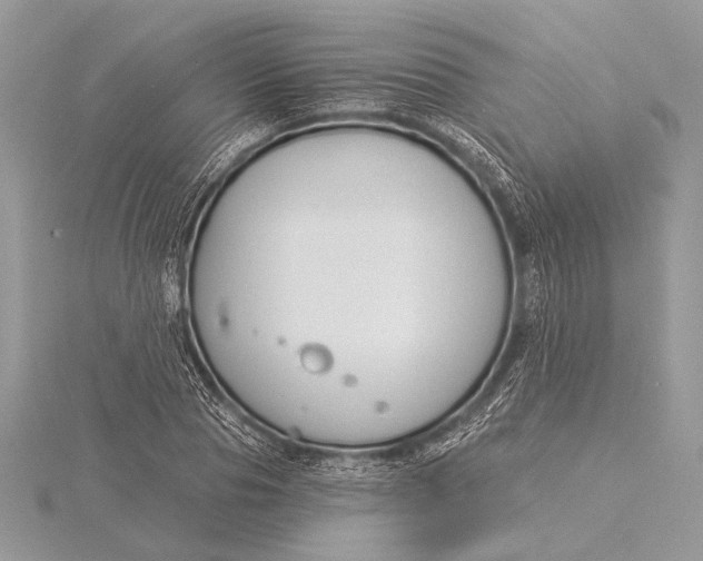 X0000115830929200912041645