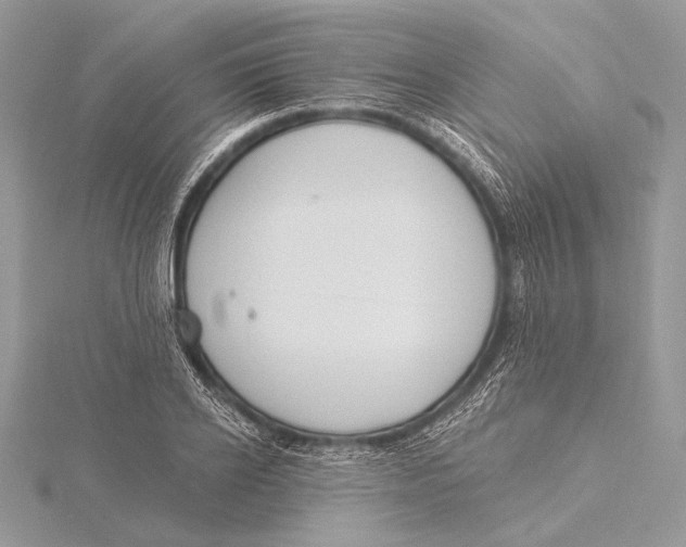 X0000115830934200912041645