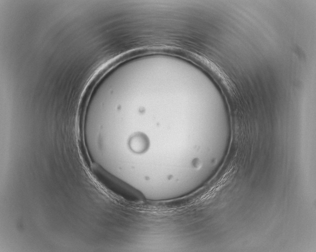 X0000115830935200912041645