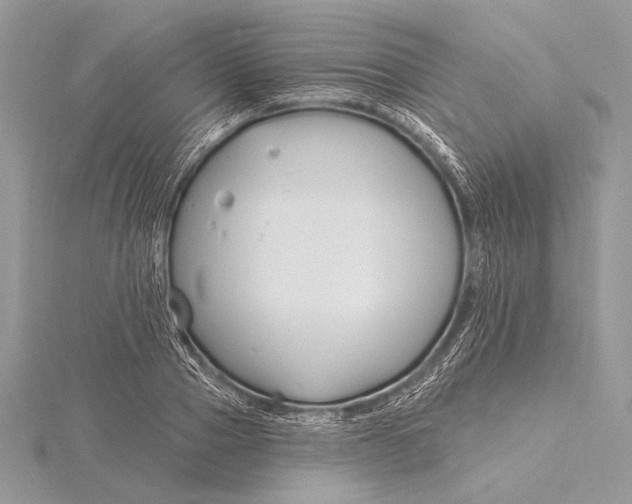 X0000115830937200912041645