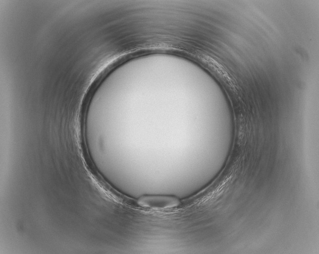 X0000115830942200912041645