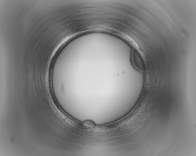 X0000115830947200912041645