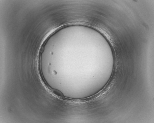 X0000115830949200912041645