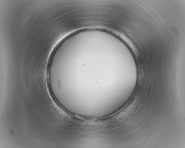 X0000115830951200912041645