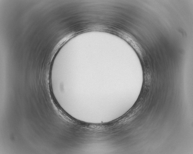 X0000115830954200912041645