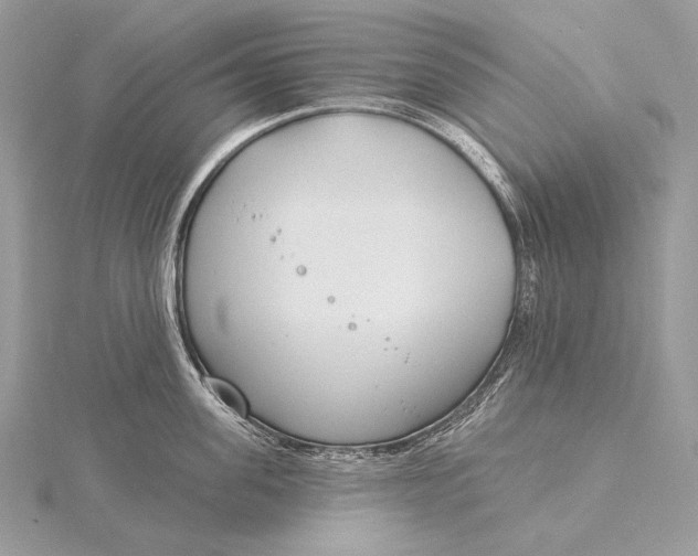 X0000115830955200912041645