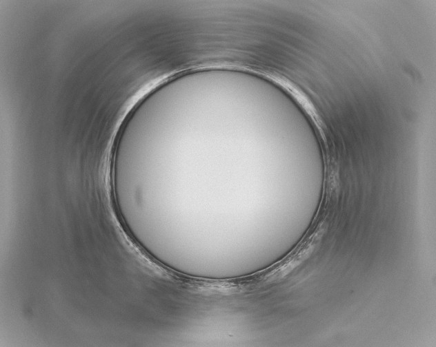 X0000115830957200912041645