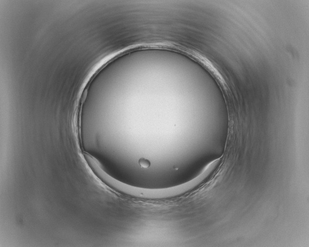 X0000115830959200912041645