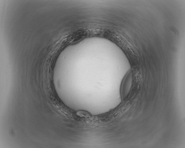 X0000115830961200912041645