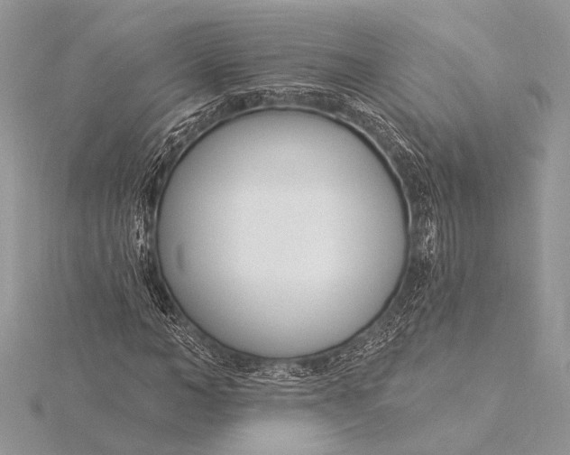 X0000115830966200912041644