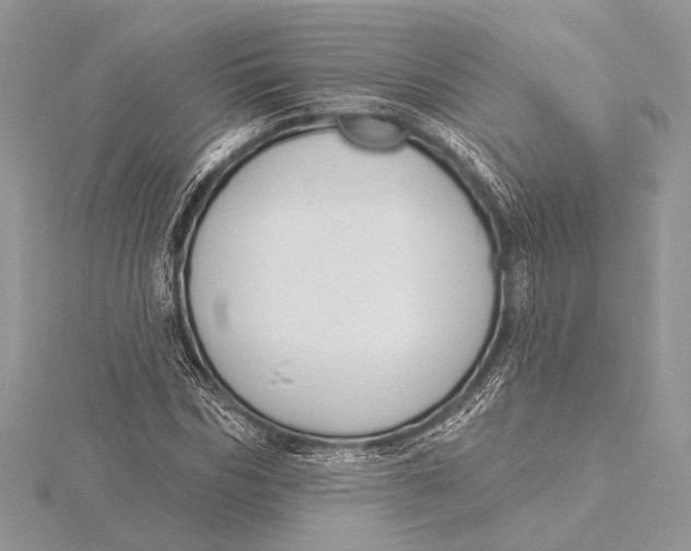 X0000115830970200912041644