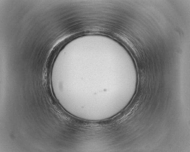 X0000115830971200912041644