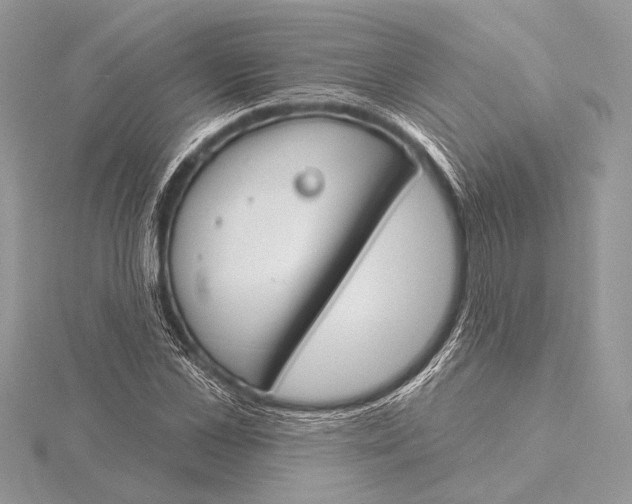 X0000115830973200912041644