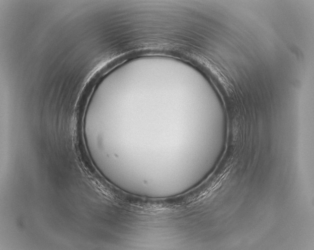 X0000115830975200912041644