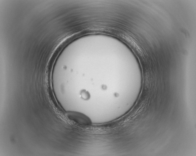 X0000115830976200912041644