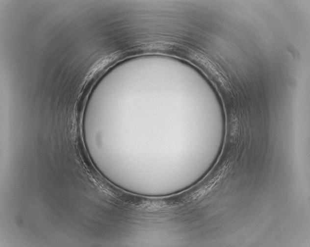 X0000115830978200912041644