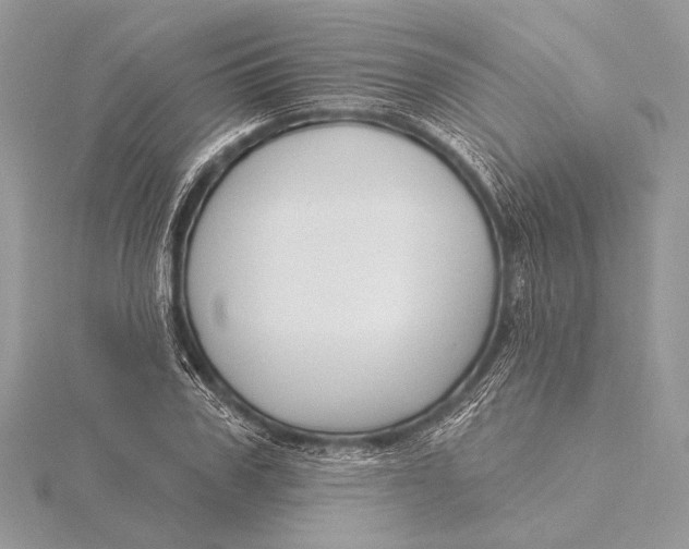 X0000115830979200912041644