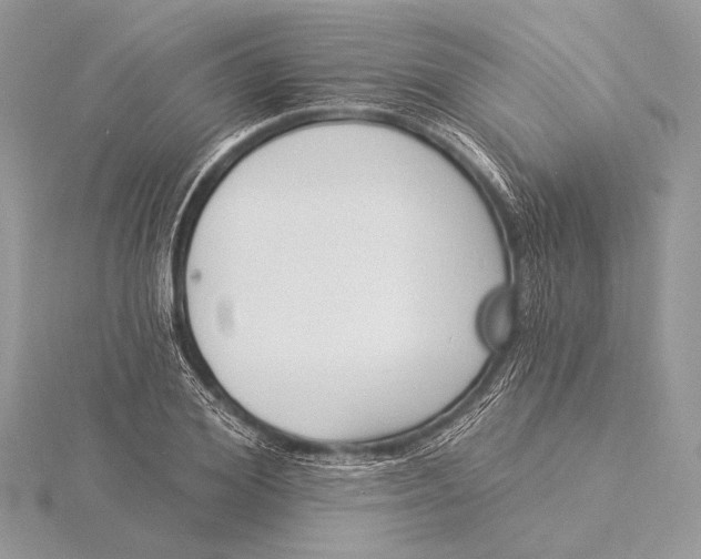 X0000115830980200912041644