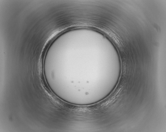 X0000115830982200912041644