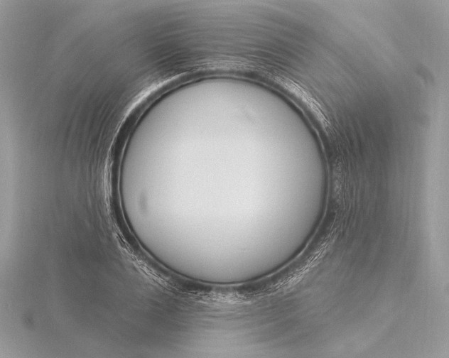 X0000115830983200912041644