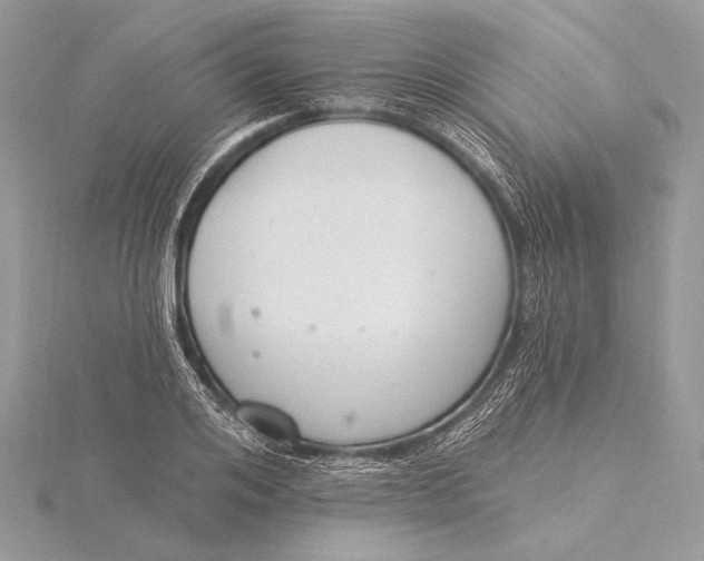 X0000115830984200912041644