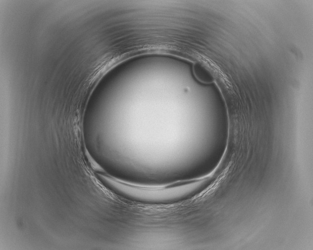 X0000115830985200912041644