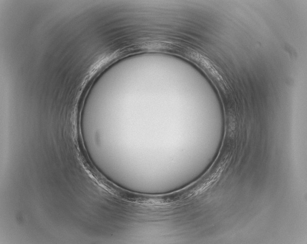 X0000115830986200912041644