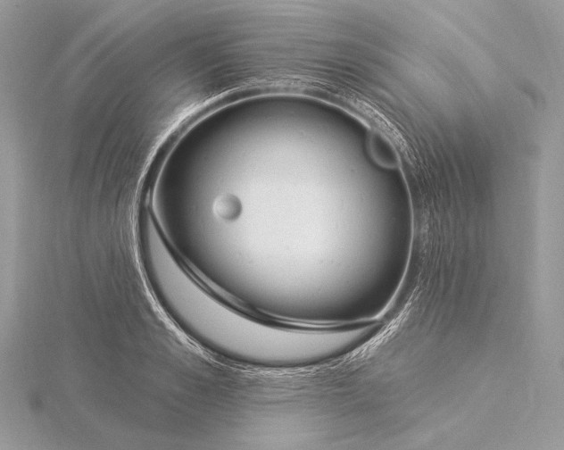 X0000115830989200912041644