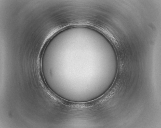 X0000115830990200912041644