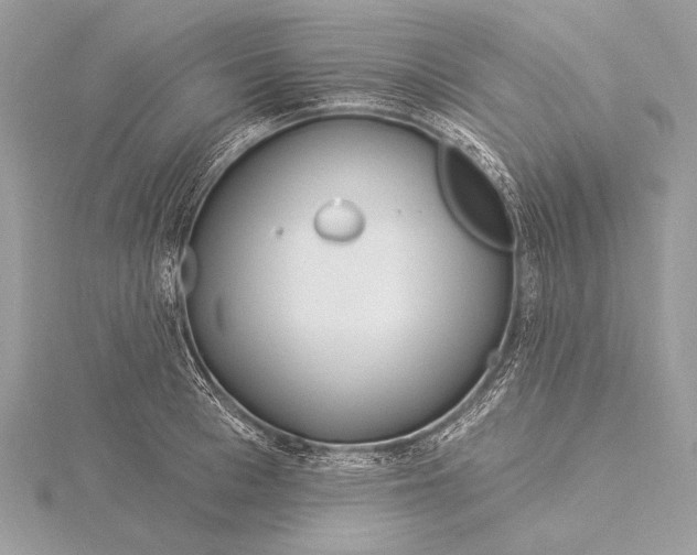 X0000115830993200912041644