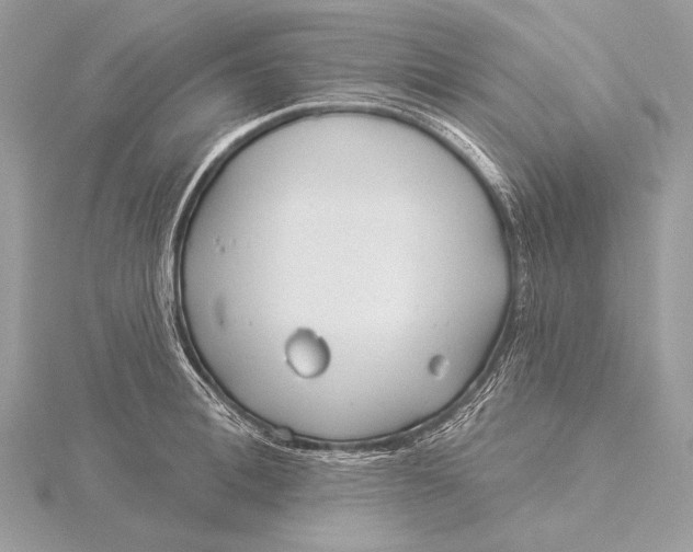 X0000115830996200912041644