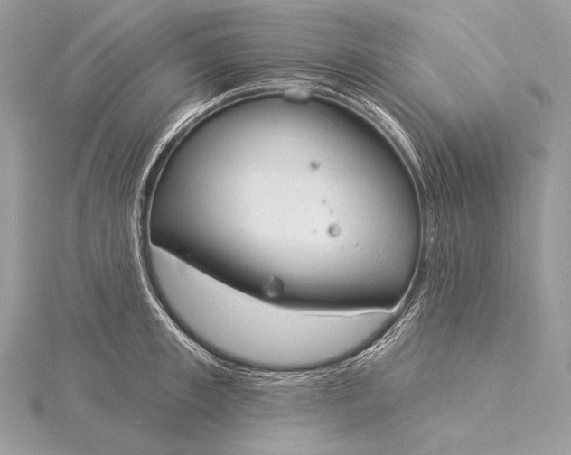 X0000115830997200912041644