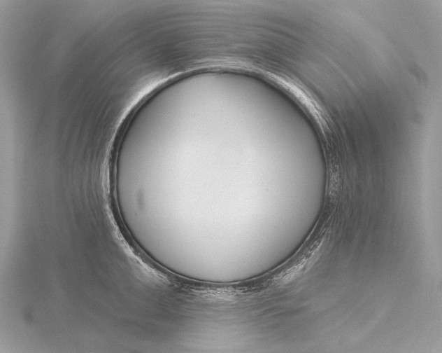 X0000115830999200912041644