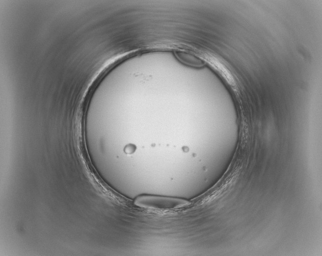 X0000115831000200912041644