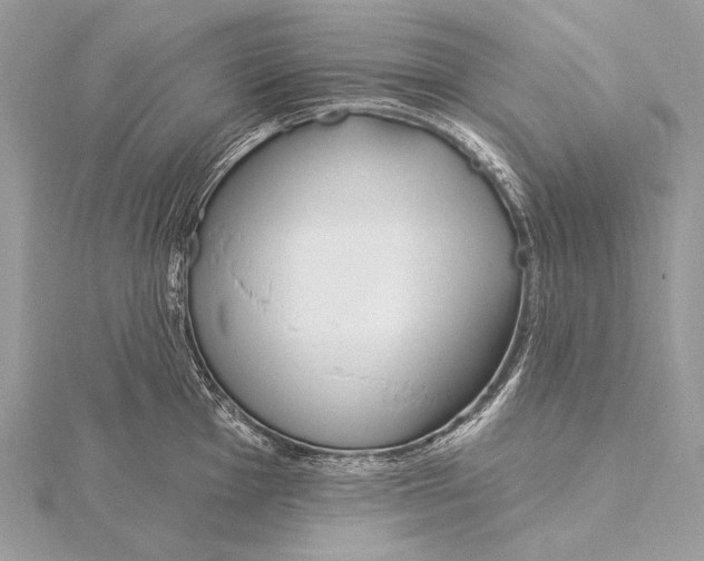 X0000115831001200912041644