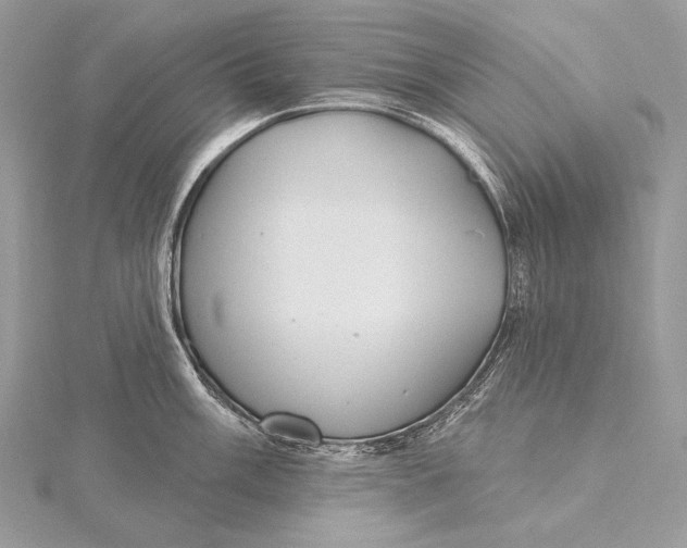 X0000115831003200912041644